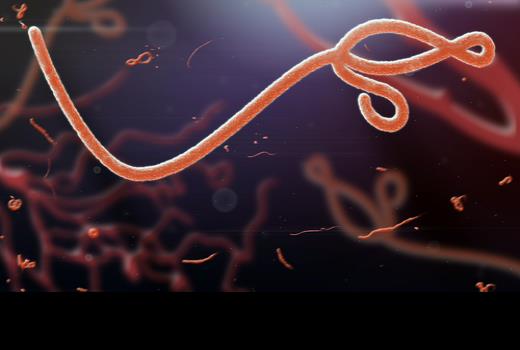 Declararán fin de la epidemia de ébola