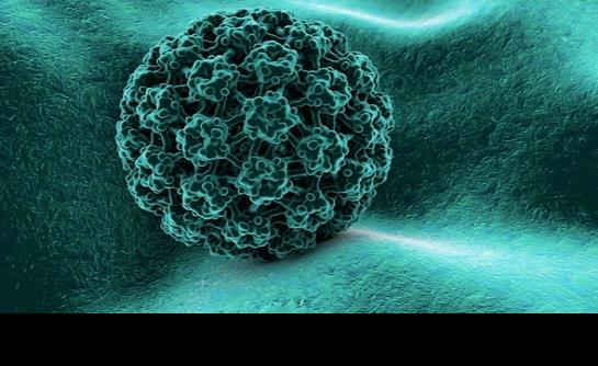 Identifican genes esenciales en la inmunoterapia contra el cáncer