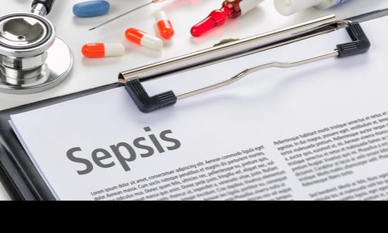 Efectiva terapia contra la sepsis como alternativa a los antibióticos en modelos experimentales