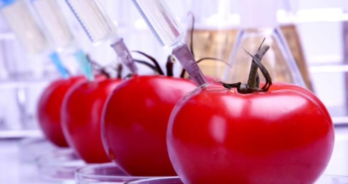 Tomates, futuro aliado de la industria farmacéutica