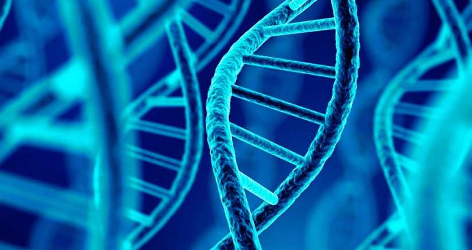 Un gusano ‘humanizado’ con CRISPR revela puntos débiles del cáncer