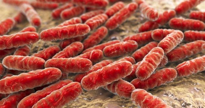 Un test detecta las bacterias resistentes a antibióticos en pocos minutos