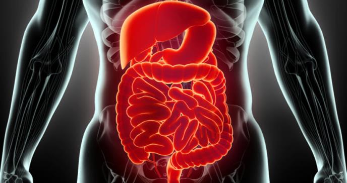Nuevo puntaje predice el riesgo de sangrado gastrointestinal