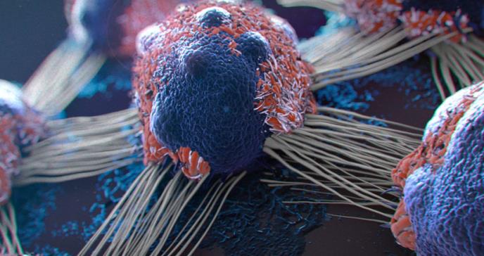 VPH: un virus capaz de engañar al sistema inmune