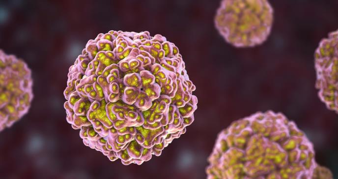 Patógeno del rhinovirus podría crear inmunidad contra la influenza