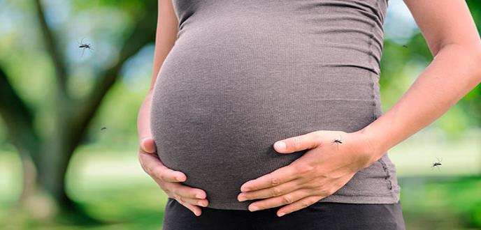 Mujeres que han estado infectadas por Zika están más protegidas durante el embarazo