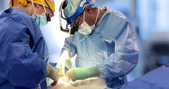 Tres equipos quirúrgicos simultáneos logran trasplantar órganos pediátricos en el Auxilio Mutuo