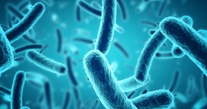 Científicos investigan ola de contagios de bacteria carnívora