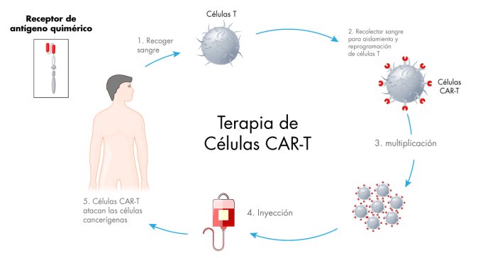 Primera terapia CAR-T para mieloma múltiple es aprobada por la FDA