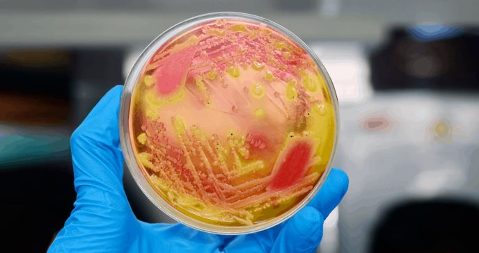 Uso de fármacos no antimicrobianos contribuye a la resistencia a los antibióticos