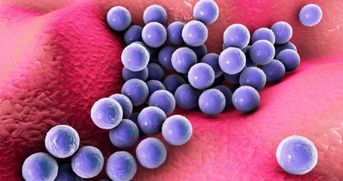 Las bacterias pueden cambiar de forma para evitar ser detectadas por los antibióticos