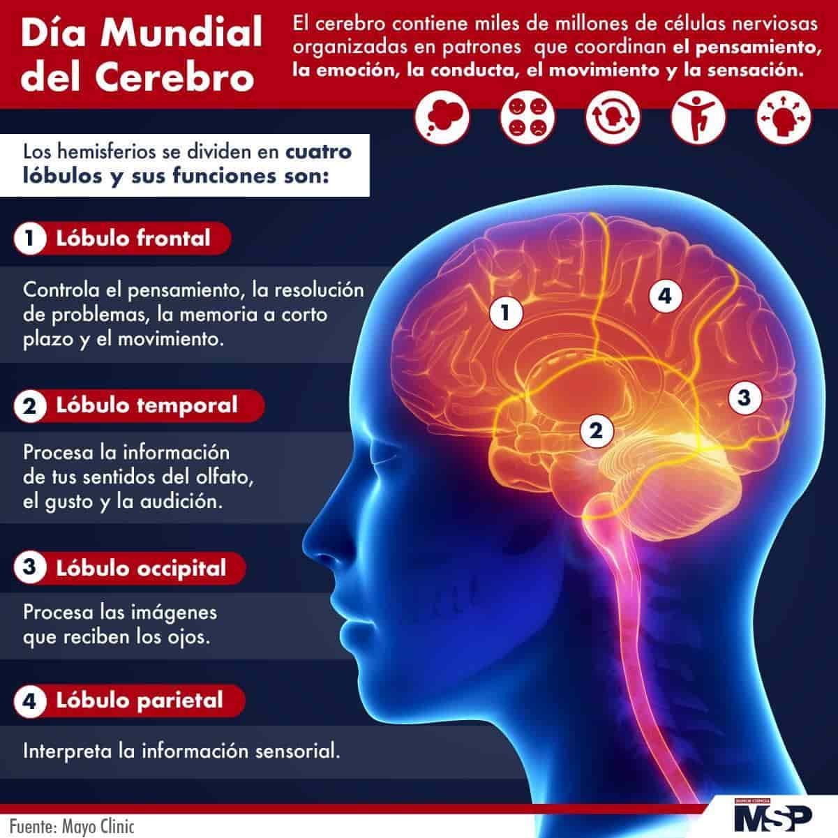 Día Mundial Del Cerebro 9200