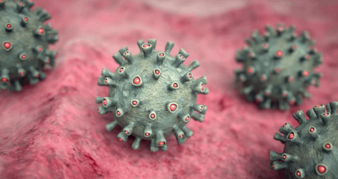 OMS emite alerta ante primer caso de virus Marburgo en África: Debemos detenerlo en seco