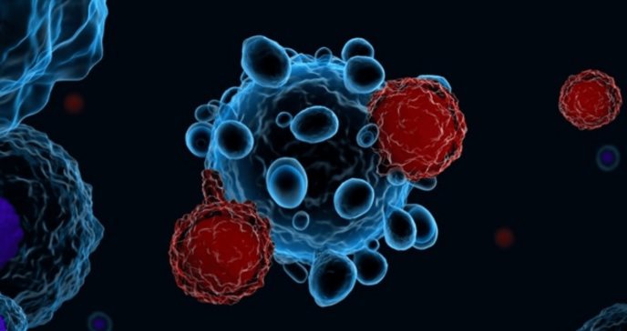 Estudio sugiere que la terapia celular con linfocitos revertiría cáncer de pulmón de células no pequeñas