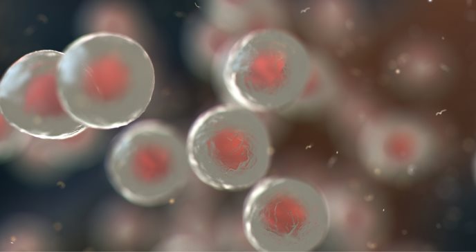 Investigadores confirman que uso células madre estromales alivian inflamación causada por la EPOC