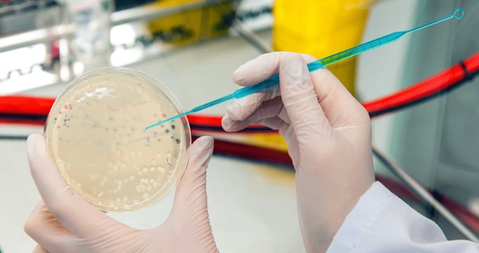 Fagos contra las bacterias: Una alternativa en la lucha contra la resistencia a los antibióticos
