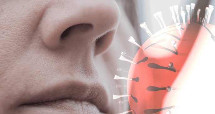Crece la preocupación científica por disfunción olfativa crónica por el COVID-19