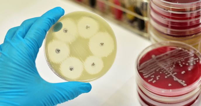 Estudio confirma la resistencia a los antibióticos vinculada a los microplásticos