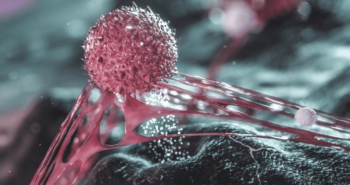 Investigación: Células T de los resfriados comunes pueden brindar protección contra el COVID-19
