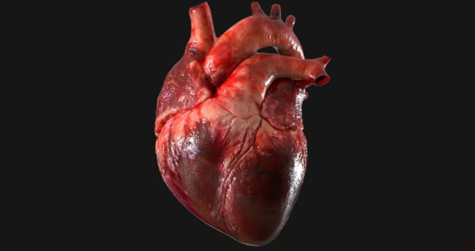 Una de las causas más comunes de infarto en adultos jóvenes puede tener origen genético