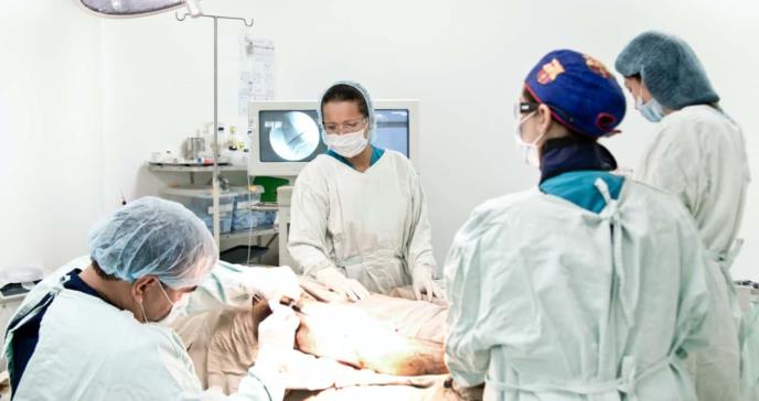 Trasplante renal en pre diálisis, la mejor alternativa para pacientes con insuficiencia renal crónica