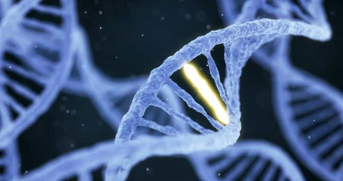 Investigadores hallan genes mutados que serían los causantes de cáncer en el ´genoma basura´