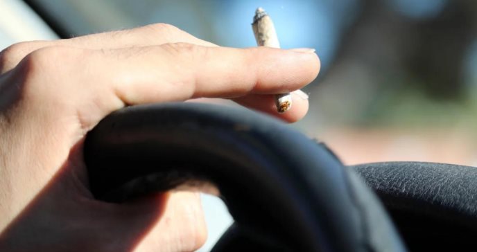 Cuando la marihuana se legaliza, más personas conducen drogadas, según un estudio