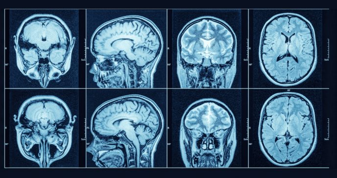 Cómo se desarrolla y madura el cerebro humano desde la concepción hasta la muerte