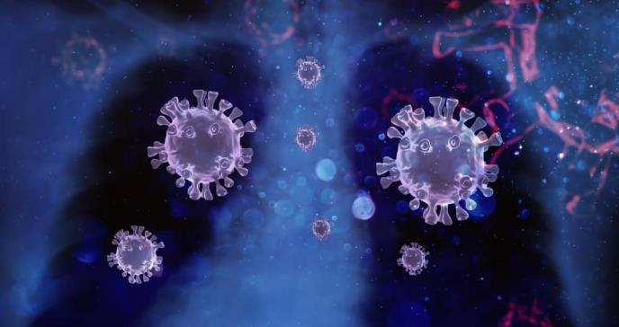 ¿Qué tan bien resiste nuestra inmunidad al virus del COVID-19?