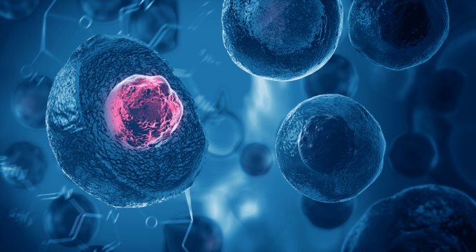 Trasplantes de células madre podrían ser transformadores en la diabetes tipo 1