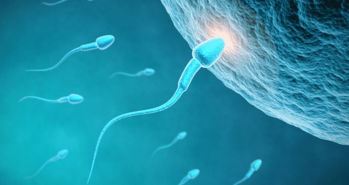 Sorprendente caída del número de espermatozoides en el mundo