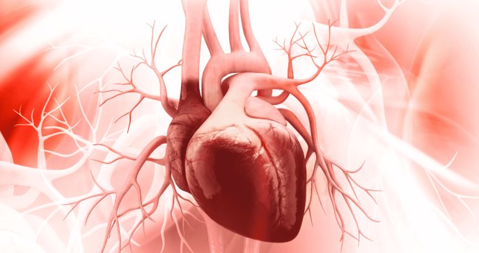 Cardiomiopatía Hipertrófica: una enfermedad que desencadena otros problemas cardiovasculares