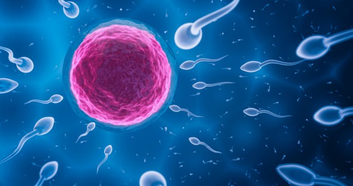 Rejuvenecimiento ovárico: cómo el plasma rico en plaquetas puede mejorar la fertilidad