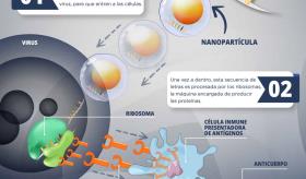 Vacunas de ARNm - Infografía