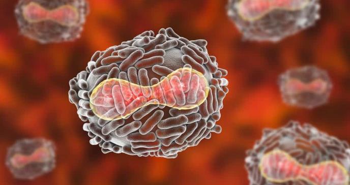 Lo que revela la historia sobre la viruela