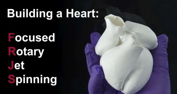 Bioingeniería permite crear tejidos cardíacos más funcionales