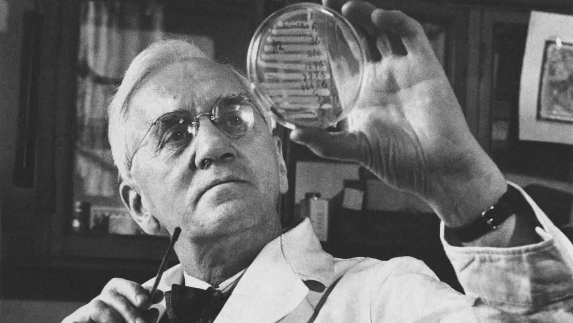 Risultati scientifici nella produzione di penicillina dalle guerre mondiali ad oggi