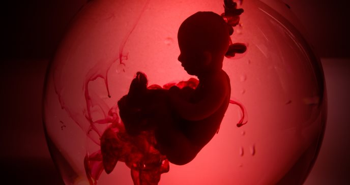 Ectogénesis, la nueva tecnología que permite desarrollar embriones en úteros artificiales