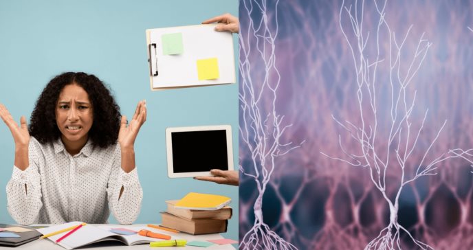 Cuidado con el estrés: estudio determina que el estrés laboral crónico daña el cerebro