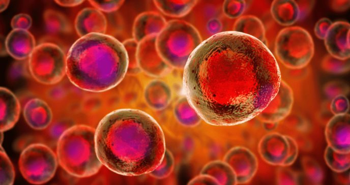 Investigación con células madre embrionarias podría eliminar la necesidad de donantes en el futuro