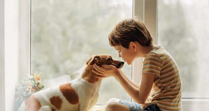 Niños y mascotas: una responsabilidad paso a paso