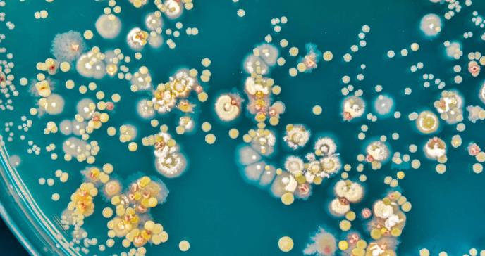 Microbios latentes pueden activarse para hacer frente al cambio climático