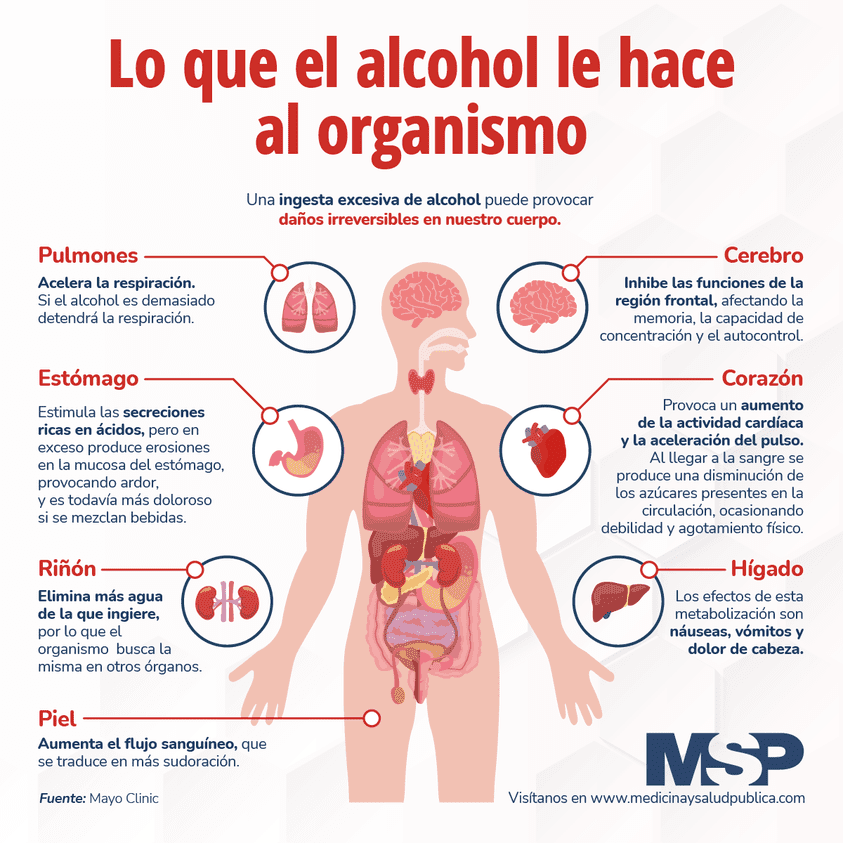 Lo Que El Alcohol Le Hace Al Organismo Infografía 8802