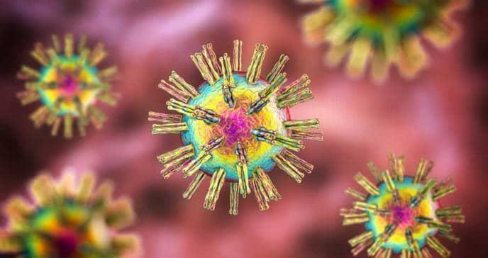 Fármaco basado en virus del herpes simple podría matar el cáncer