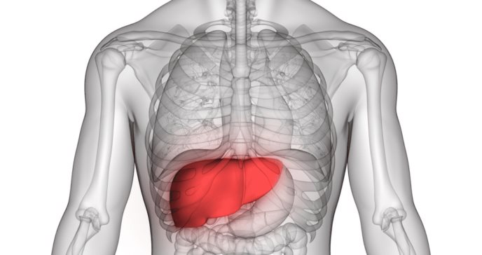 El hígado graso aumentaría el riesgo de enfermedad cardiovascular en personas con el VIH