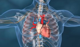 Expertos sugieren multiplicadores de riesgo cardiovascular para las enfermedades reumáticas