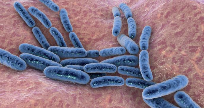 Los lactobacillus, presentes en algunos probióticos, podrían mejorar la salud vaginal