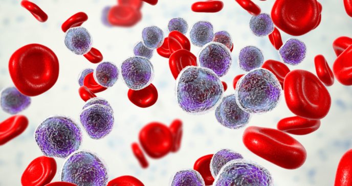Células puñal: nueva terapia contra la leucemia linfoblástica aguda de células T, con resultados positivos