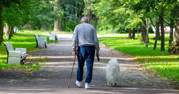 Tener un perro disminuye el riesgo de sufrir incapacidades físicas en la vejez, señala estudio
