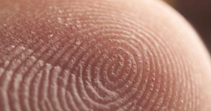 Científicos descubren cómo se forman las huellas dactilares